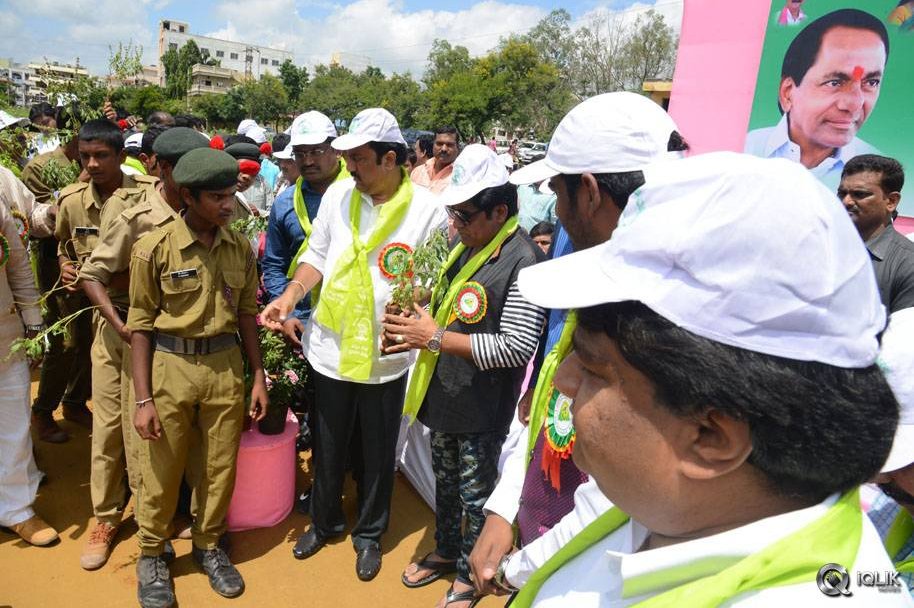 Celebs-participating-Haritha-Haaram-Event